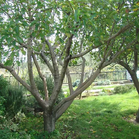 Apartment Dobric Kastela
