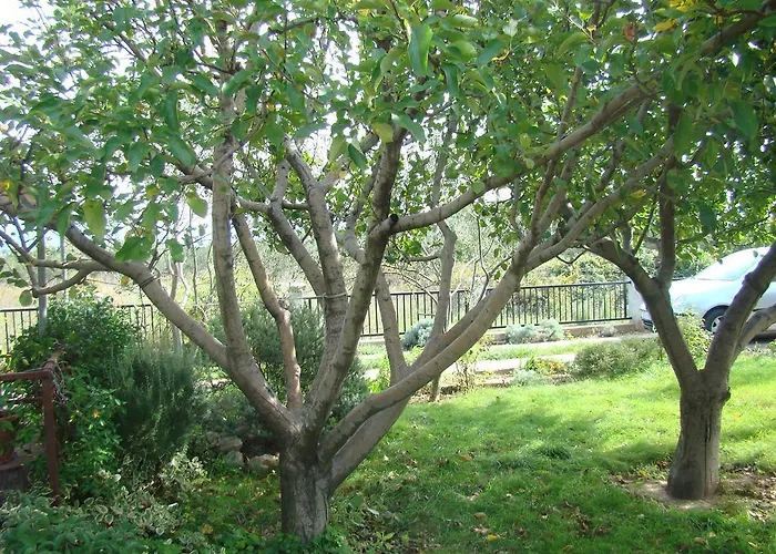 Apartmán Dobric Kaštela